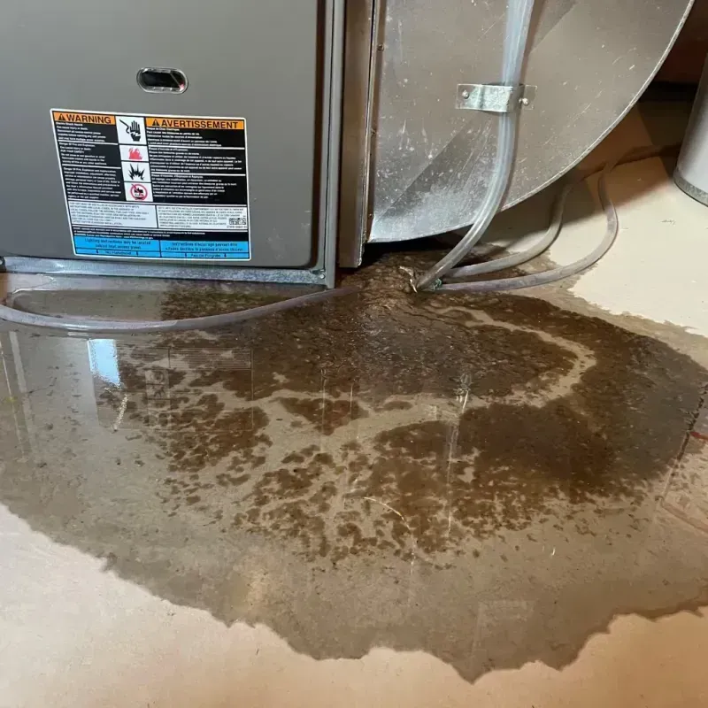 Appliance Leak Cleanup in Decaturville, TN